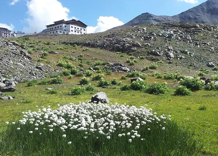 Hotel Folgore